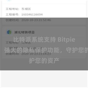 比特派系统支持 Bitpie钱包：强大的隐私保护功能，守护您的资产
