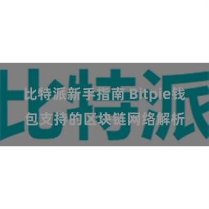 比特派新手指南 Bitpie钱包支持的区块链网络解析