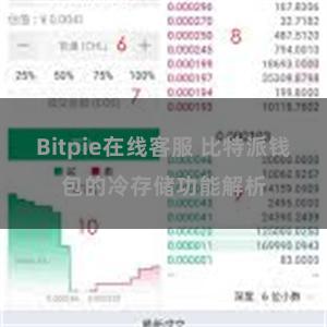 Bitpie在线客服 比特派钱包的冷存储功能解析