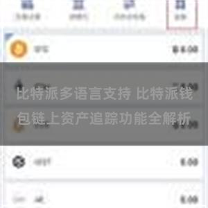 比特派多语言支持 比特派钱包链上资产追踪功能全解析