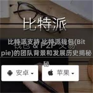 比特派支持 比特派钱包(Bitpie)的团队背景和发展历史揭秘