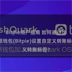 Bitpie用户指南 如何通过比特派钱包(Bitpie)设置自定义转账标签？
