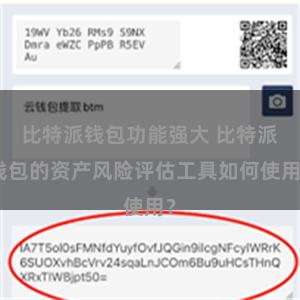 比特派钱包功能强大 比特派钱包的资产风险评估工具如何使用？