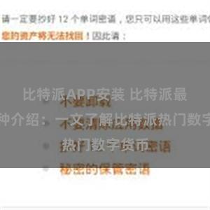 比特派APP安装 比特派最新币种介绍：一文了解比特派热门数字货币
