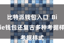 比特派钱包入口 Bitpie钱包还复古多种考据样式