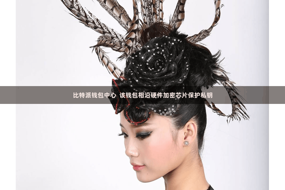 比特派钱包中心  该钱包相沿硬件加密芯片保护私钥