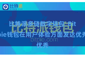 比特派多链数字钱包  Bitpie钱包在用户体验方面发达优秀