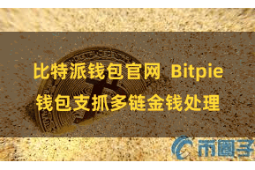 比特派钱包官网  Bitpie钱包支抓多链金钱处理